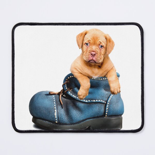 Item preview, Dog in boot designed and sold by The-Rakker.