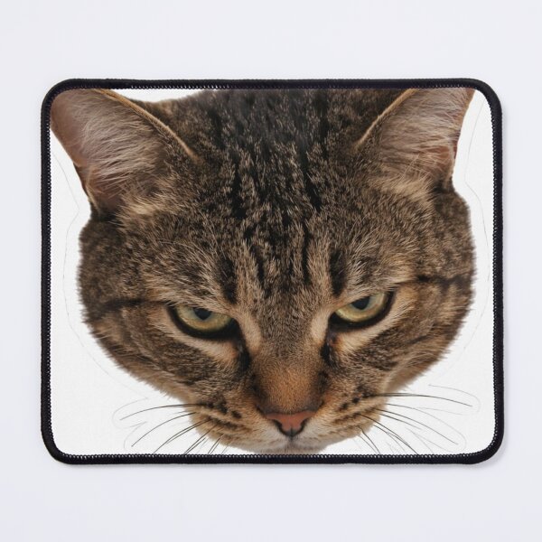 Item preview, Attitude Cat designed and sold by Nika Art Studio.