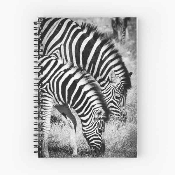 Item preview, Two zebra. designed and sold by Anne Scantlebury.