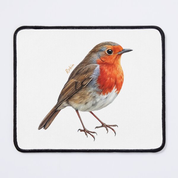 Item preview, Robin bird, Garden Bird designed and sold by iclipart.