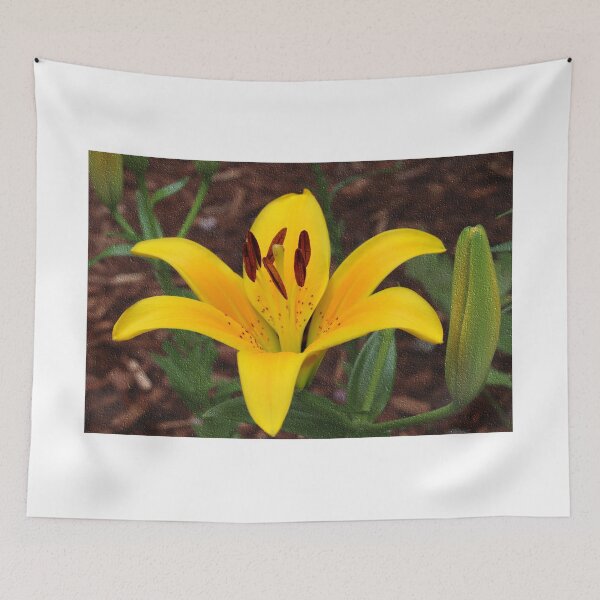 Item preview, Yellow Diamond Lily with Textured Background designed and sold by BostonArcImage.