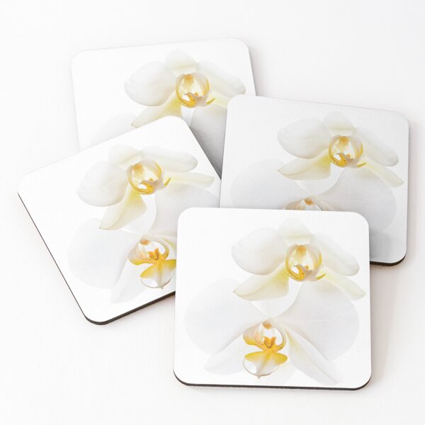 Item preview, white orchids designed and sold by Alex Barth.