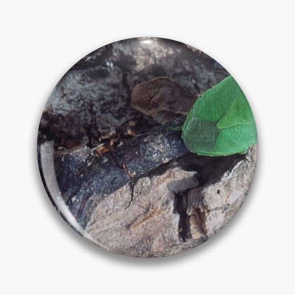 Item preview, Green Stink Bug, Insect Pest, Genus Chinavia designed and sold by AMacGPhilly.