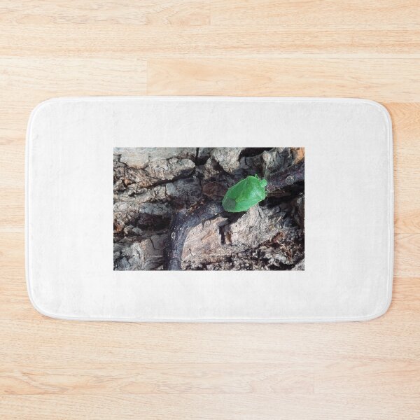 Item preview, Green Stink Bug, Insect Pest, Genus Chinavia designed and sold by AMacGPhilly.