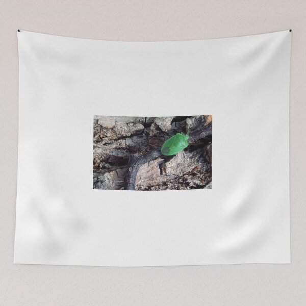 Item preview, Green Stink Bug, Insect Pest, Genus Chinavia designed and sold by AMacGPhilly.