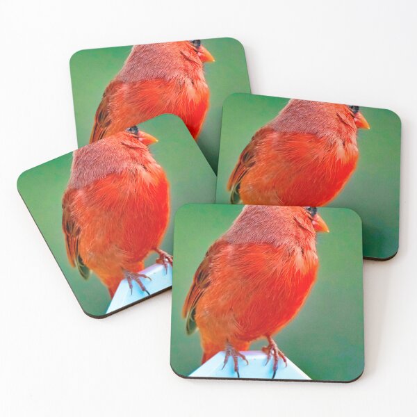 Item preview, Northern Cardinal, Male on Fence Post designed and sold by AMacGPhilly.