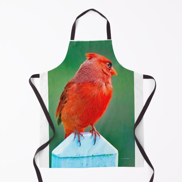 Item preview, Northern Cardinal, Male on Fence Post designed and sold by AMacGPhilly.