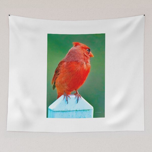 Item preview, Northern Cardinal, Male on Fence Post designed and sold by AMacGPhilly.