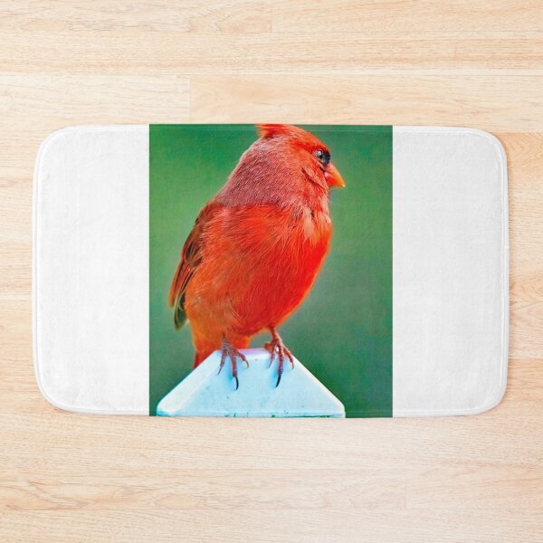 Item preview, Northern Cardinal, Male on Fence Post designed and sold by AMacGPhilly.