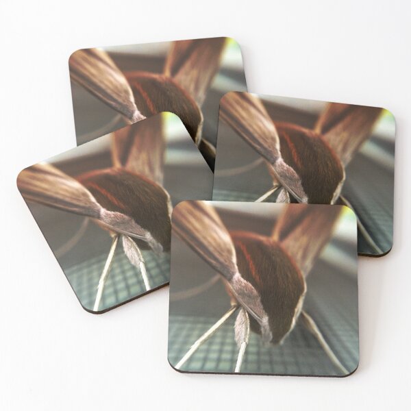 Item preview, Extreme Close Up Photo Of A Beautiful Luna Moth designed and sold by snapshotszach.