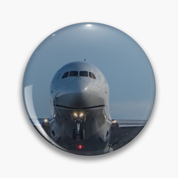 Item preview, United Boeing 787  designed and sold by LGrocks916.