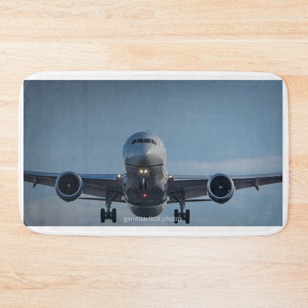 Item preview, United Boeing 787  designed and sold by LGrocks916.