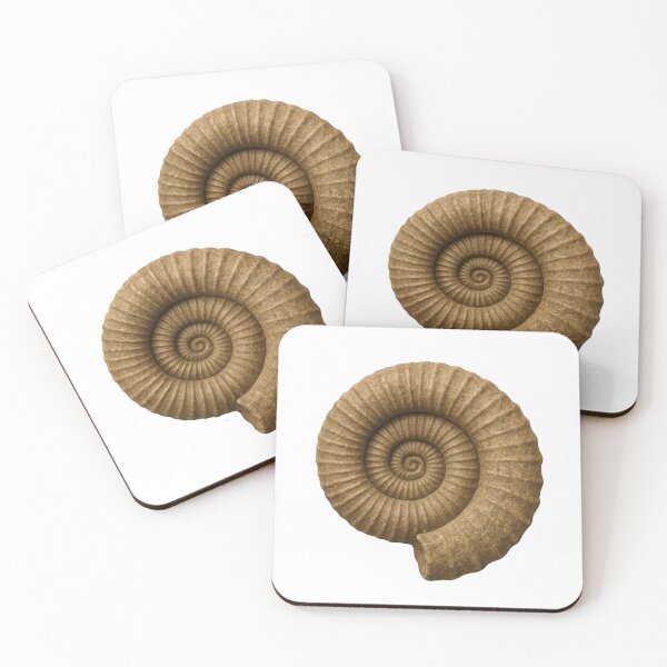 Item preview, Natural elegance captured in a beautifully spiraled shell showcasing intricate patterns and earthy tones under soft lighting designed and sold by MiraCleAI.