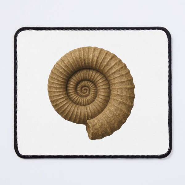 Item preview, Natural elegance captured in a beautifully spiraled shell showcasing intricate patterns and earthy tones under soft lighting designed and sold by MiraCleAI.