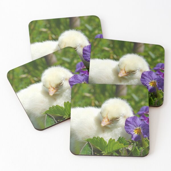 Item preview, Baby Chick designed and sold by RootedDruid.