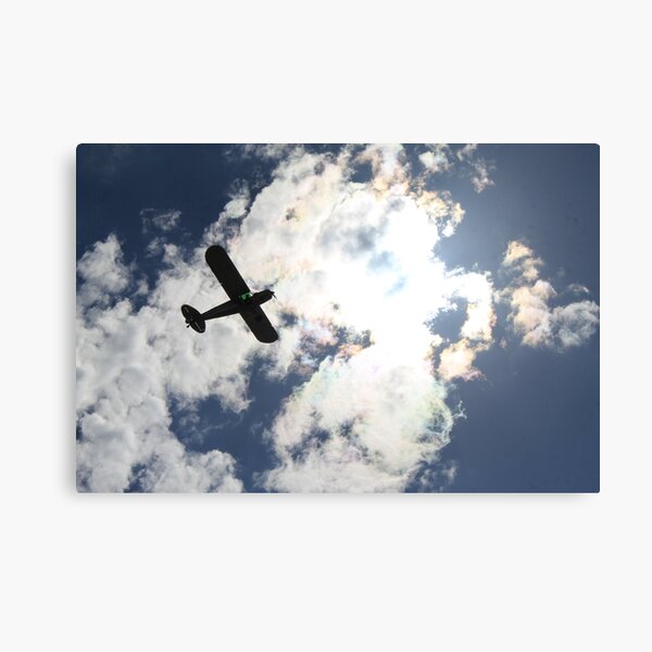 Air Plane at Country Show Canvas Print
