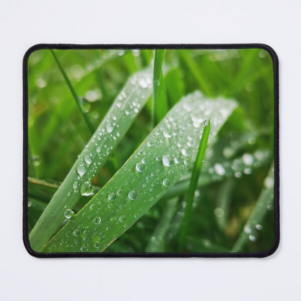 Item preview, Morning Dew Drops on Green Spring Grass designed and sold by Kainicram.