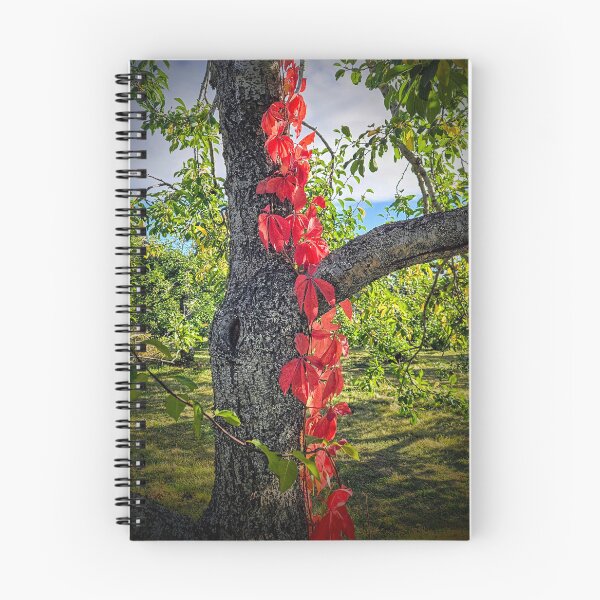 Item preview, Tree in red designed and sold by RootedDruid.