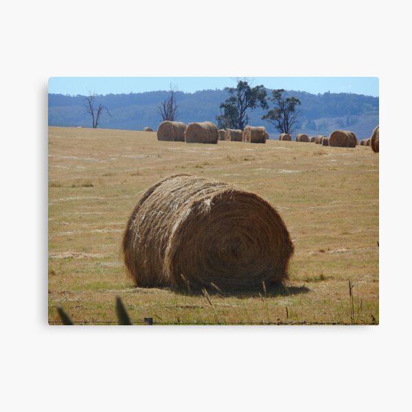 Hay Stack Canvas Print