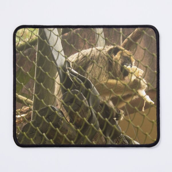Item preview, monkey in the zoo 2 designed and sold by felipequeiroz.