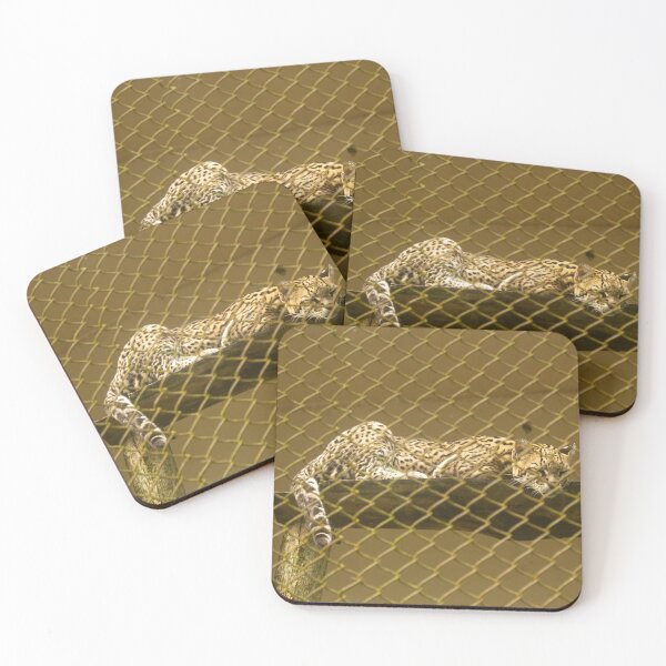 Item preview, jaguar at the zoo designed and sold by felipequeiroz.