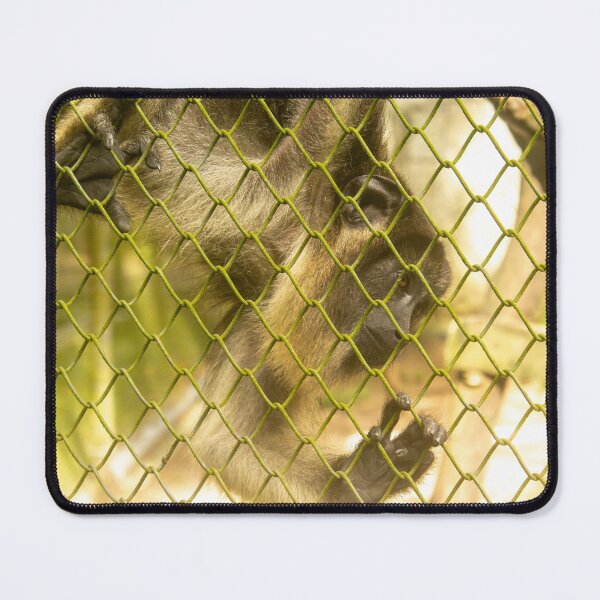 Item preview, monkey in the zoo 3 designed and sold by felipequeiroz.
