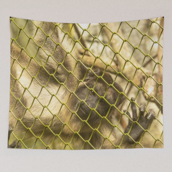 Item preview, monkey in the zoo 4 designed and sold by felipequeiroz.