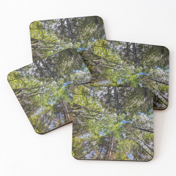 Item preview, Forest Sky View designed and sold by RootedDruid.
