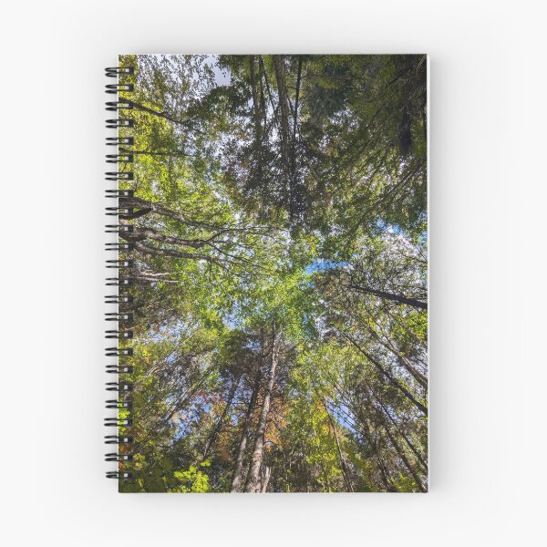 Item preview, Forest Sky View designed and sold by RootedDruid.