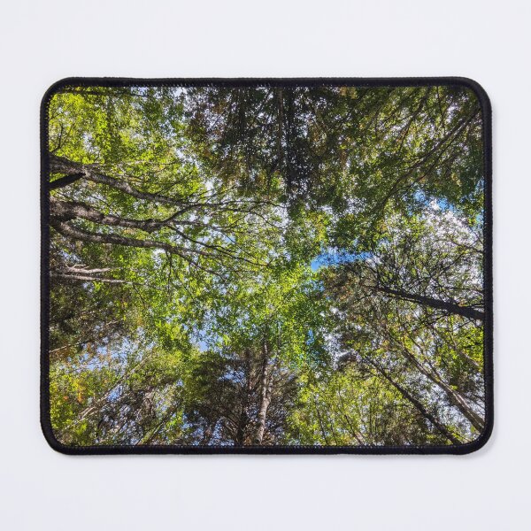 Item preview, Forest Sky View designed and sold by RootedDruid.