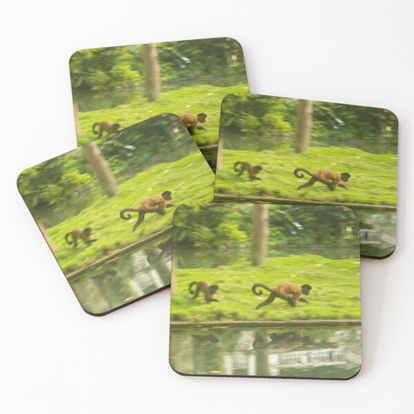 Item preview, monkeys loose in the jungle designed and sold by felipequeiroz.