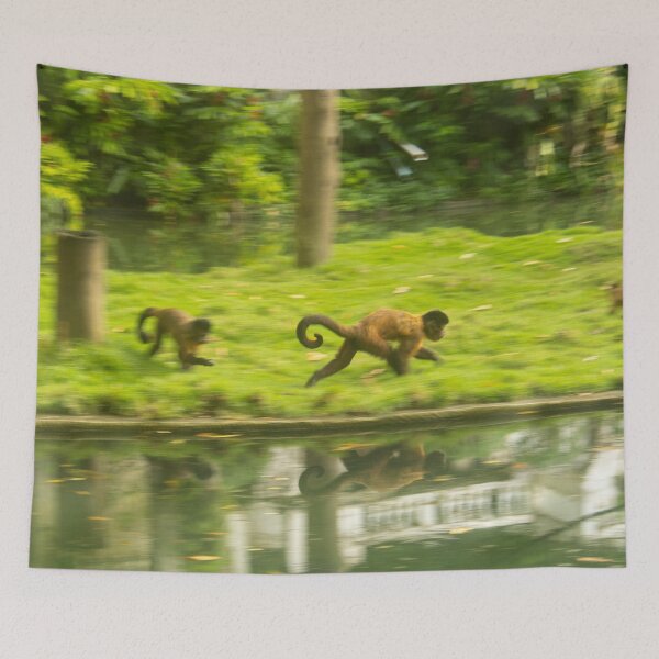 Item preview, monkeys loose in the jungle designed and sold by felipequeiroz.