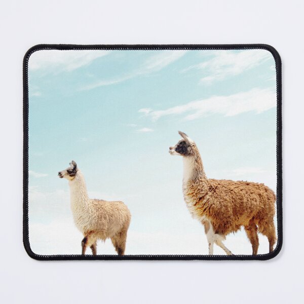 Item preview, Alpaca Oasis designed and sold by galdesign.