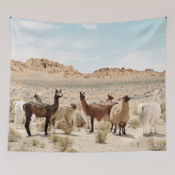 Item preview, Alpaca Valley designed and sold by galdesign.