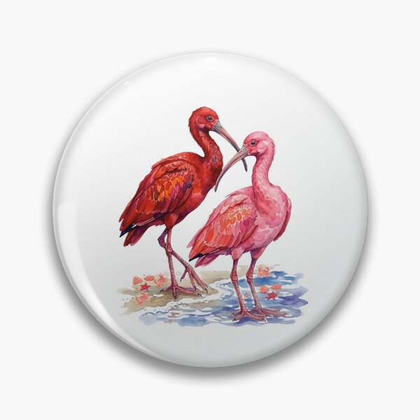 Item preview, Set of watercolors of coastal life: scarlet and roseate ibis with seashells and crabs designed and sold by VibranPalette.