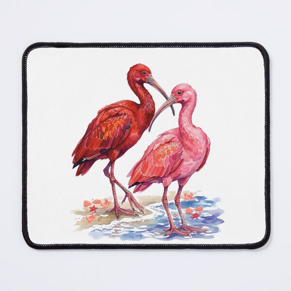 Item preview, Set of watercolors of coastal life: scarlet and roseate ibis with seashells and crabs designed and sold by VibranPalette.