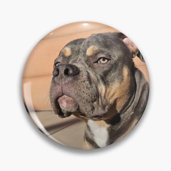 Item preview, Odin the pitty  designed and sold by Courtney Croxall.