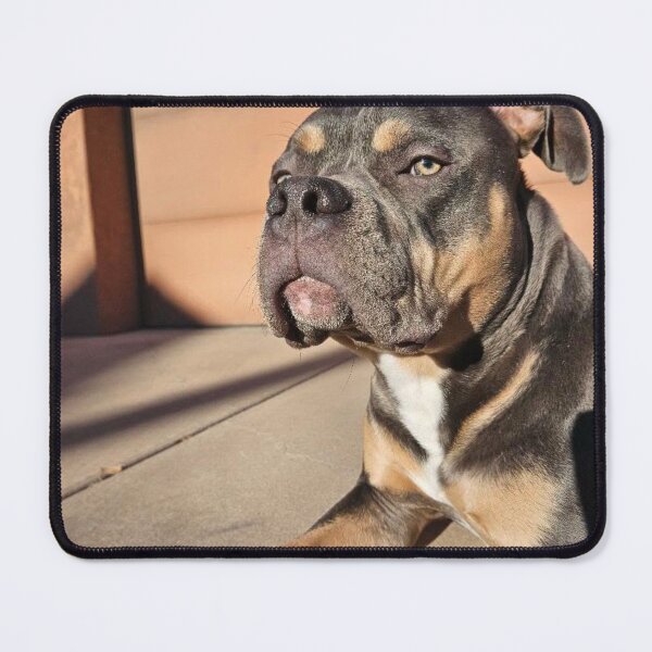 Item preview, Odin the pitty  designed and sold by Courtney Croxall.