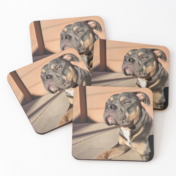 Item preview, Odin the pitty  designed and sold by Courtney Croxall.