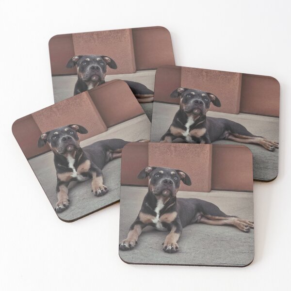 Item preview, Odin the pitty designed and sold by Courtney Croxall.