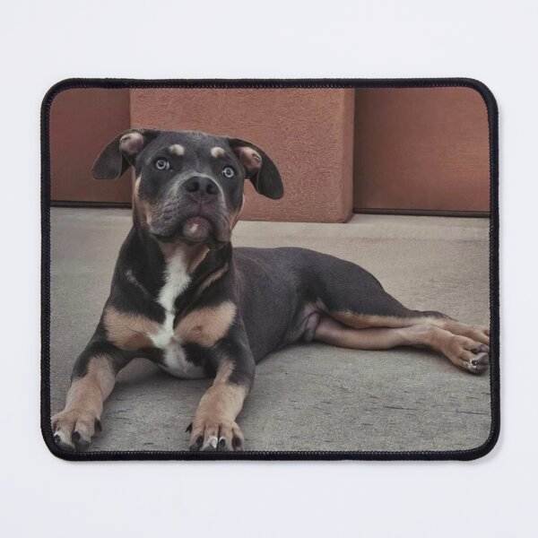 Item preview, Odin the pitty designed and sold by Courtney Croxall.