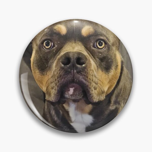 Item preview, Odin the pitty designed and sold by Courtney Croxall.