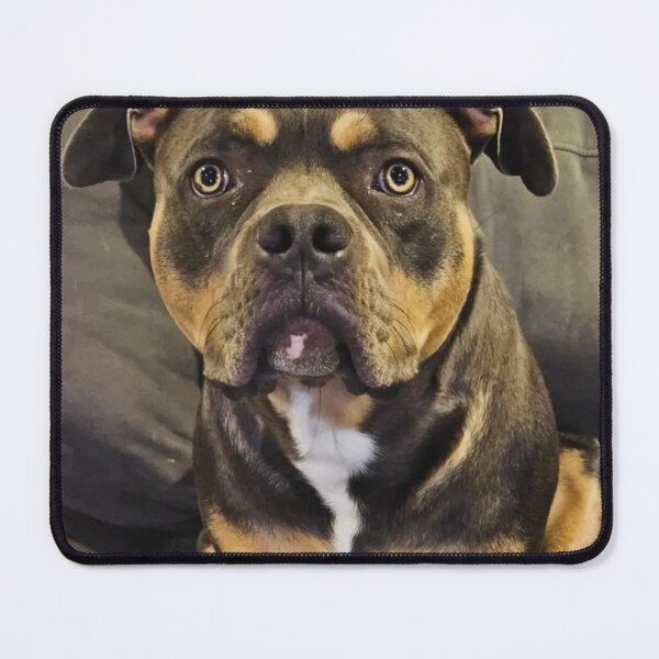 Item preview, Odin the pitty designed and sold by Courtney Croxall.