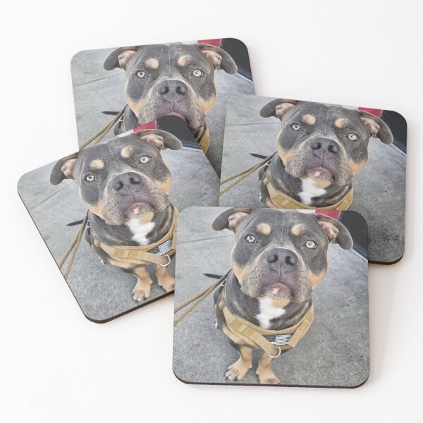 Item preview, Odin the pitty designed and sold by Courtney Croxall.
