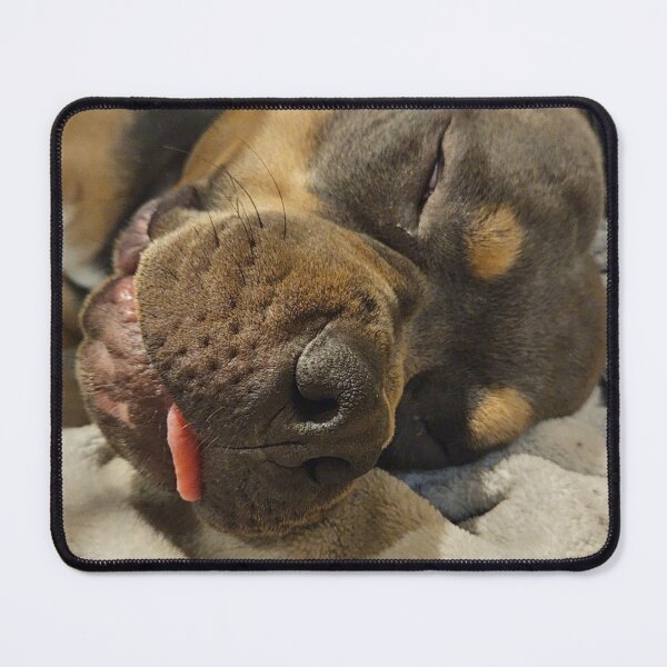 Item preview, Odin the pitty designed and sold by Courtney Croxall.