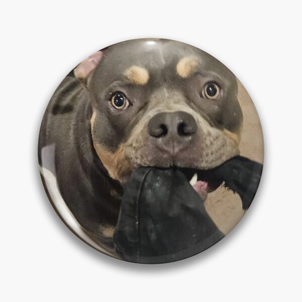 Item preview, Odin the pitty designed and sold by Courtney Croxall.