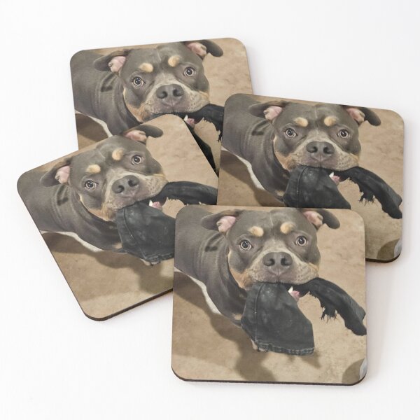 Item preview, Odin the pitty designed and sold by Courtney Croxall.