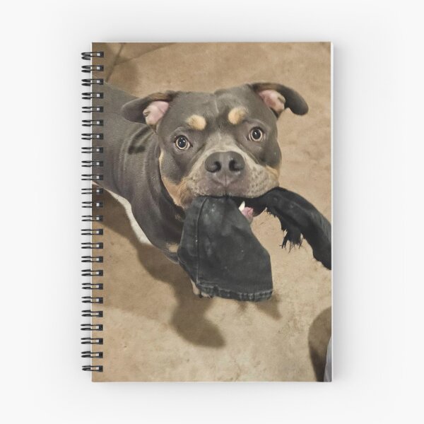 Item preview, Odin the pitty designed and sold by Courtney Croxall.