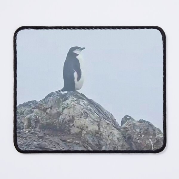 Item preview, Alone Penguin designed and sold by Ameliatra Design.
