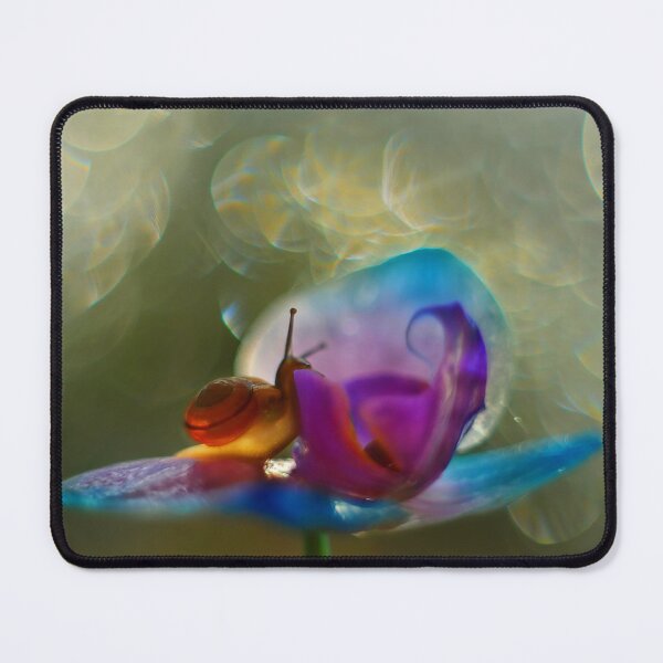Item preview, Snail's Luminous Dream designed and sold by SoulArchitect.